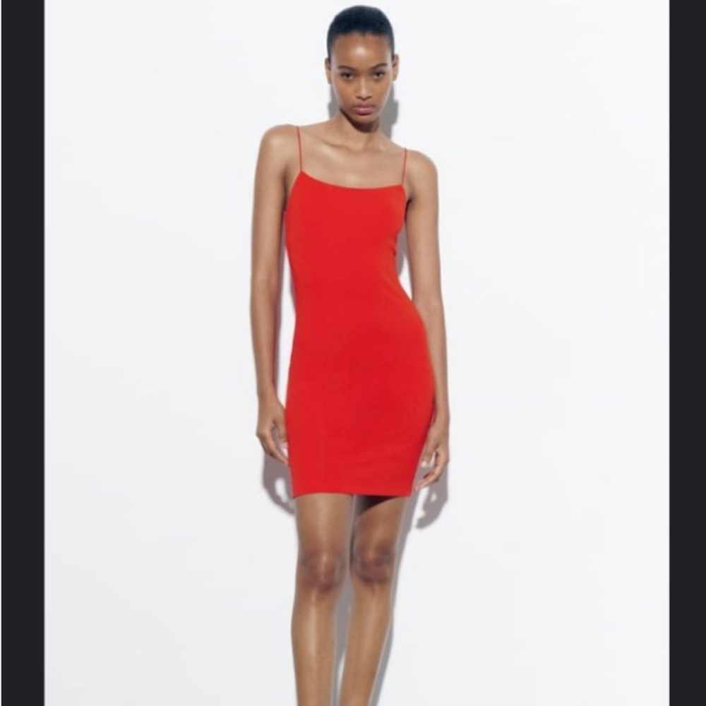 NWT- Zara dress